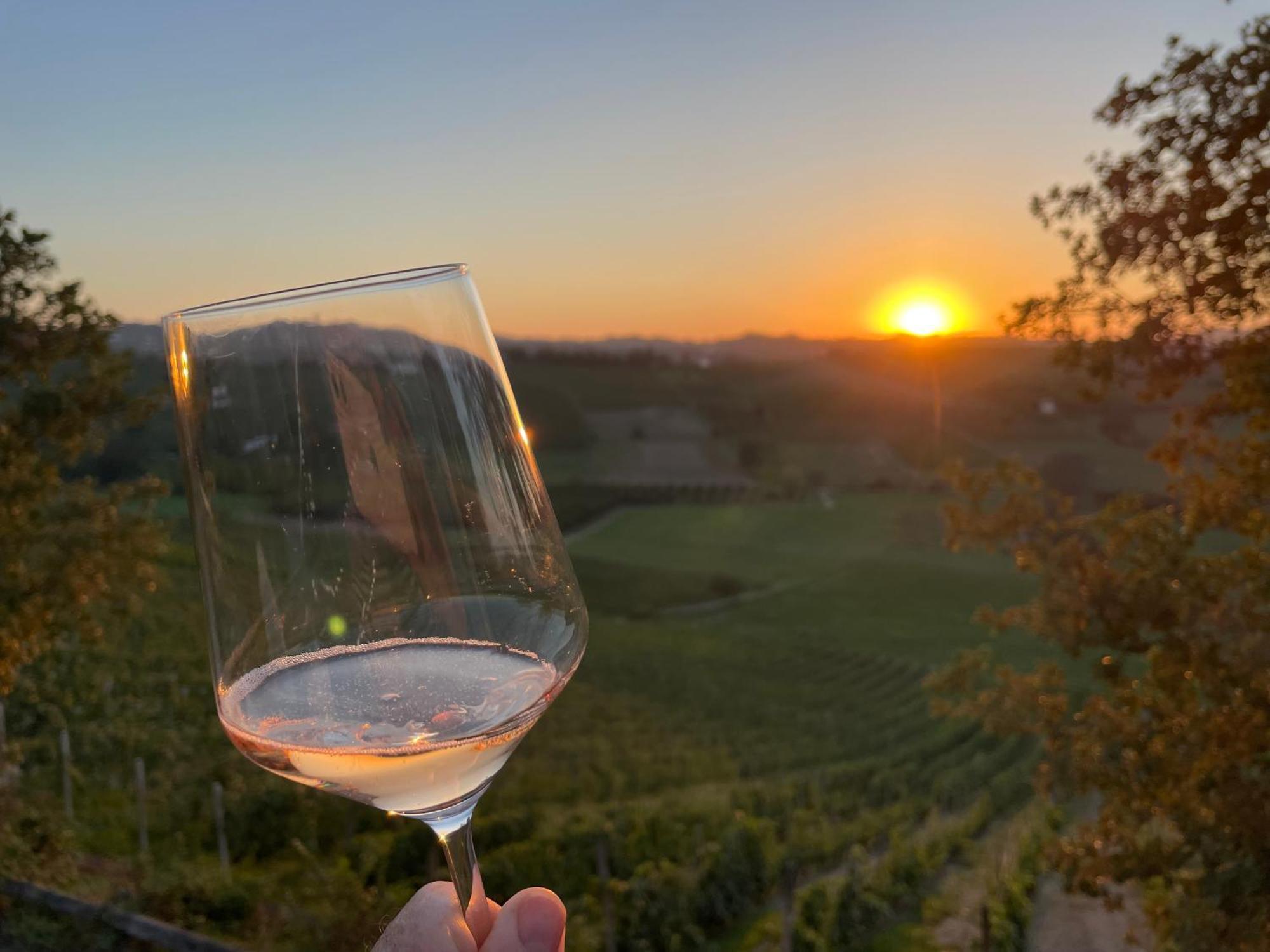 Tenuta Dei Vicini - Luxury Apartments San Marzano Oliveto Eksteriør billede
